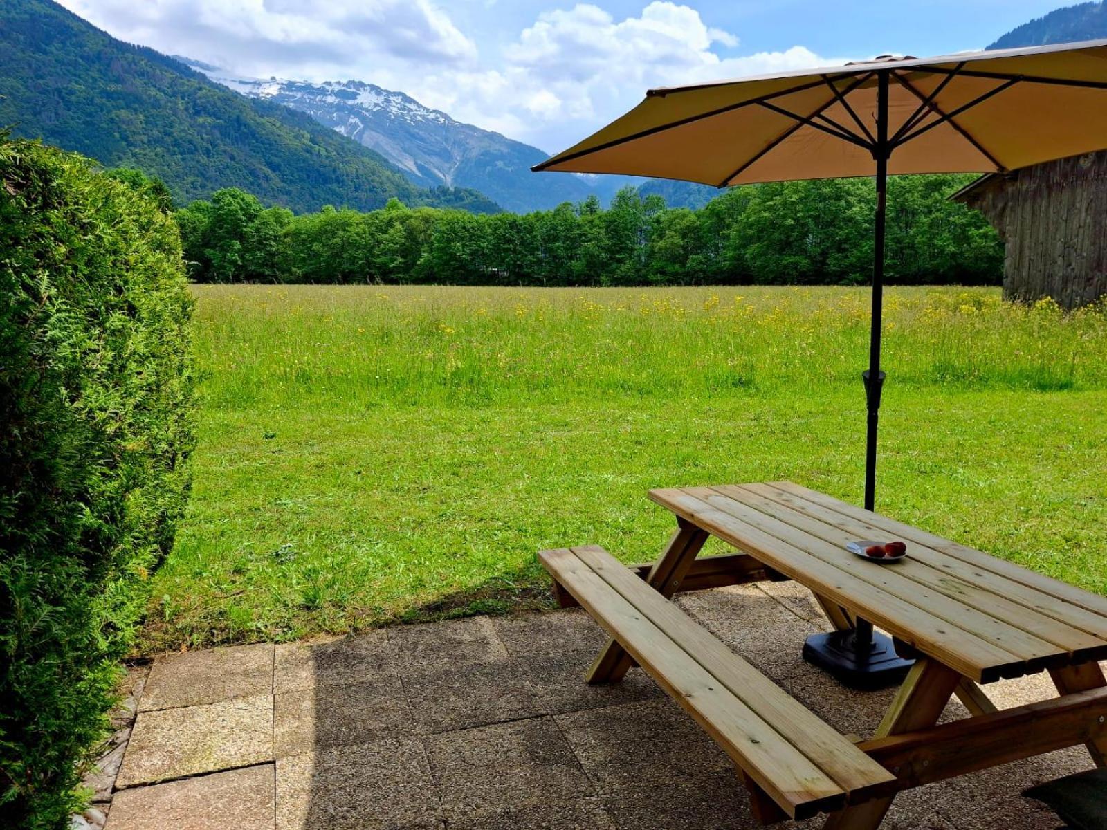 Appartement Renove T2, Vue Montagne Samoëns Extérieur photo